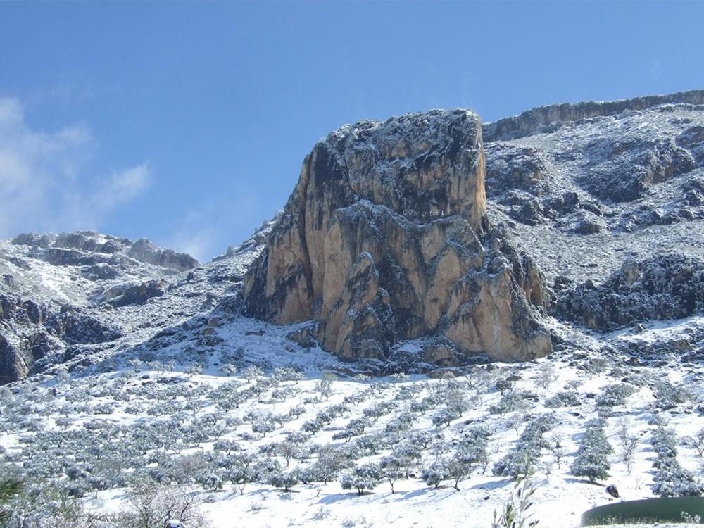 Cortijo El Chorreadero En Parque Natural Sierra De Cazorla Los Rosales  Luaran gambar